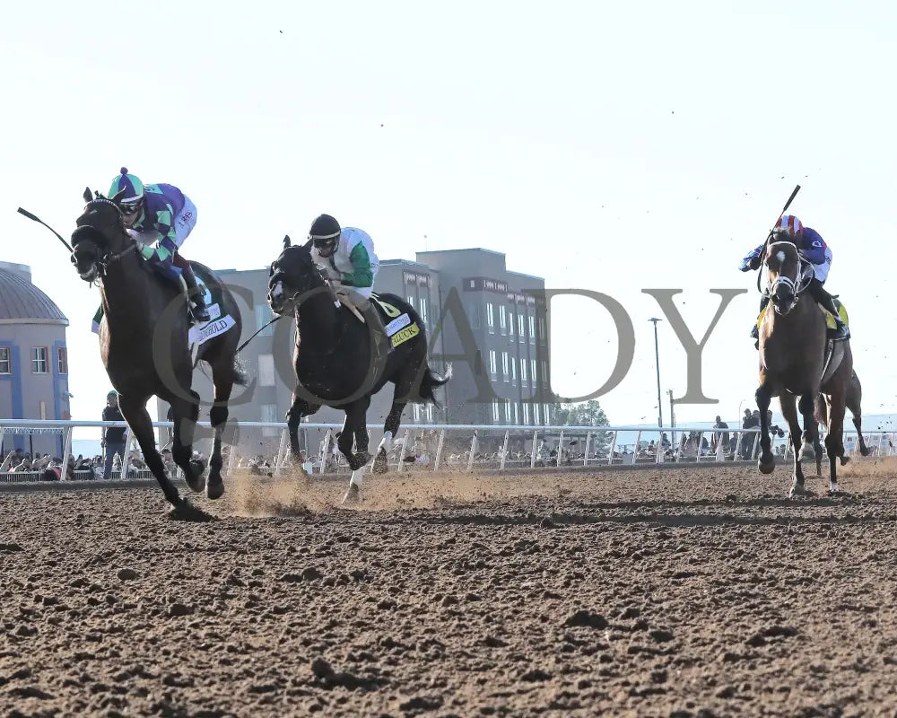 Stronghold - The 19Th Running Of Sunland Derby 02-18-24 R09 Park Under Rail