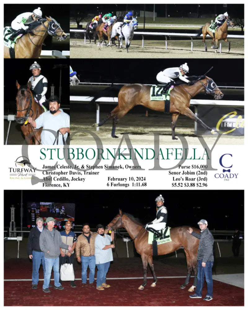 Stubbornkindafella - 02-10-24 R03 Tp Turfway Park