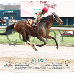 Sulwe - 01-06-24 R07 Op Action Oaklawn Park