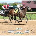 Sulwe - 03 - 28 - 24 R05 Op Action Oaklawn Park