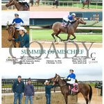 Summer Of Mischief - 02-16-24 R02 Op Oaklawn Park