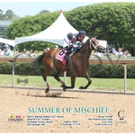 Summer Of Mischief - 04 - 06 - 24 R02 Op A Oaklawn Park