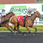 Sunday Shoes - The Satin And Lace Stakes 17Th Running 08-19-24 R07 Pid Finish Presque Isle Downs