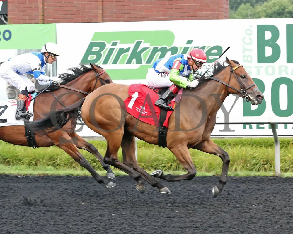 Sunday Shoes - The Satin And Lace Stakes 17Th Running 08-19-24 R07 Pid Finish Presque Isle Downs