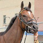 Sunday Shoes - The Satin And Lace Stakes 17Th Running 08-19-24 R07 Pid Paddock 01 Presque Isle Downs