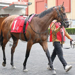 Sunday Shoes - The Satin And Lace Stakes 17Th Running 08-19-24 R07 Pid Paddock 02 Presque Isle Downs