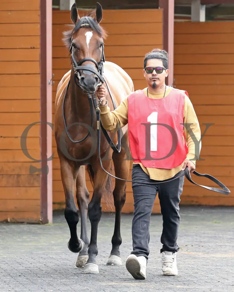 Sunday Shoes - The Satin And Lace Stakes 17Th Running 08-19-24 R07 Pid Paddock 03 Presque Isle Downs