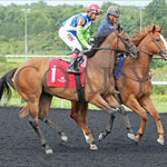 Sunday Shoes - The Satin And Lace Stakes 17Th Running 08-19-24 R07 Pid Post Parade Presque Isle