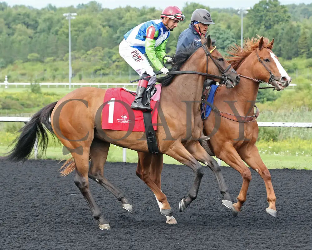 Sunday Shoes - The Satin And Lace Stakes 17Th Running 08-19-24 R07 Pid Post Parade Presque Isle