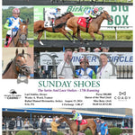 Sunday Shoes - The Satin And Lace Stakes 17Th Running 08-19-24 R07 Pid Presque Isle Downs