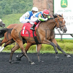 Sunday Shoes - The Satin And Lace Stakes 17Th Running 08-19-24 R07 Pid Tight Finish Presque Isle