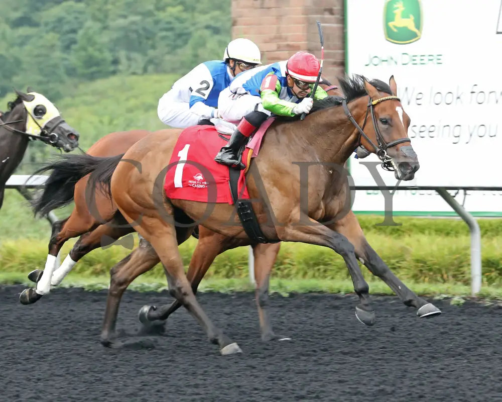 Sunday Shoes - The Satin And Lace Stakes 17Th Running 08-19-24 R07 Pid Tight Finish Presque Isle