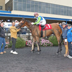 Sunday Shoes - The Satin And Lace Stakes 17Th Running 08-19-24 R07 Pid Winner’s Circle Presque