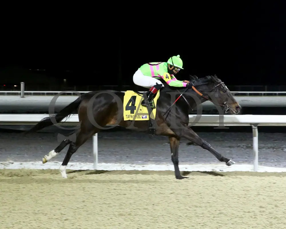 Surly Furious - The Dust Commander 33Rd Running 02-17-24 R07 Tp Finish 01 Turfway Park