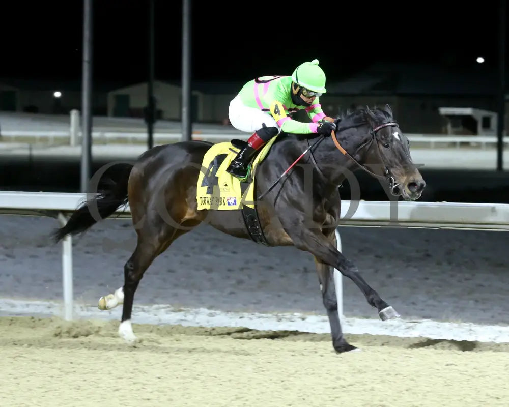 Surly Furious - The Dust Commander 33Rd Running 02-17-24 R07 Tp Finish 02 Turfway Park