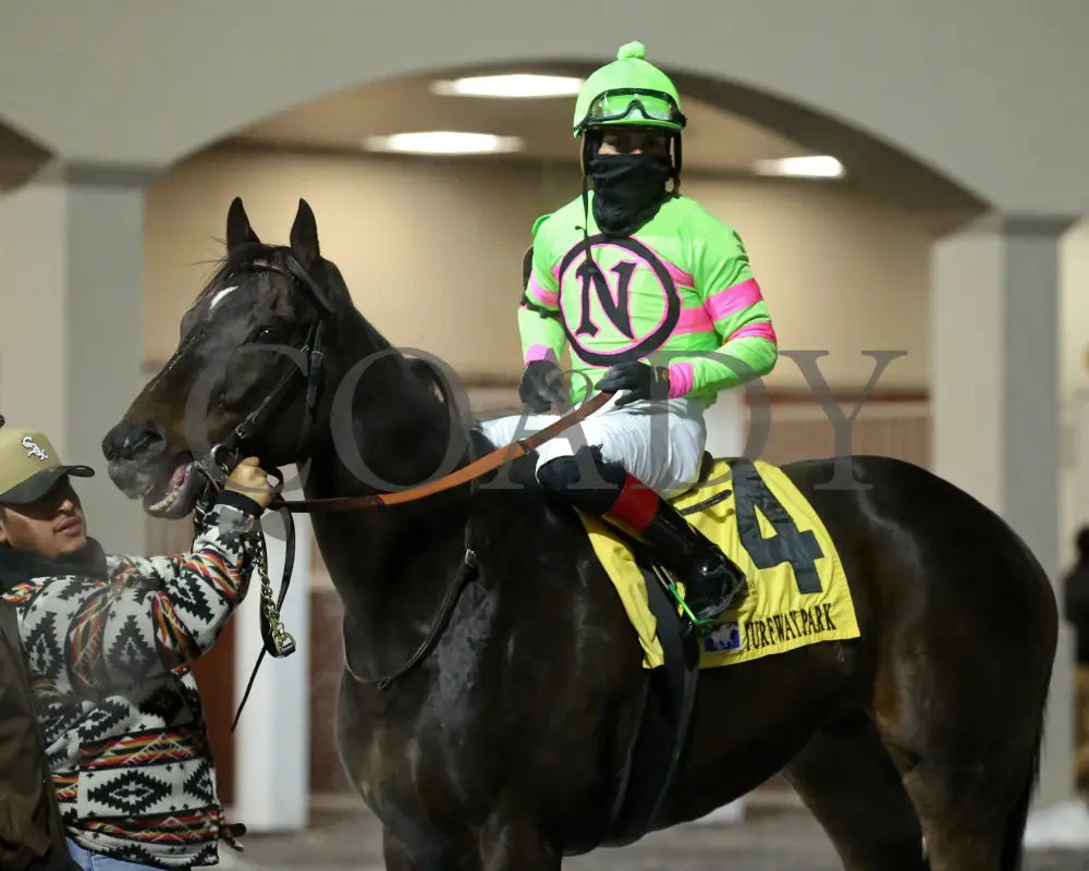 Surly Furious - The Dust Commander 33Rd Running 02-17-24 R07 Tp Post Race 01 Turfway Park