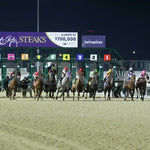 Surly Furious - The Dust Commander 33Rd Running 02-17-24 R07 Tp Start 01 Turfway Park