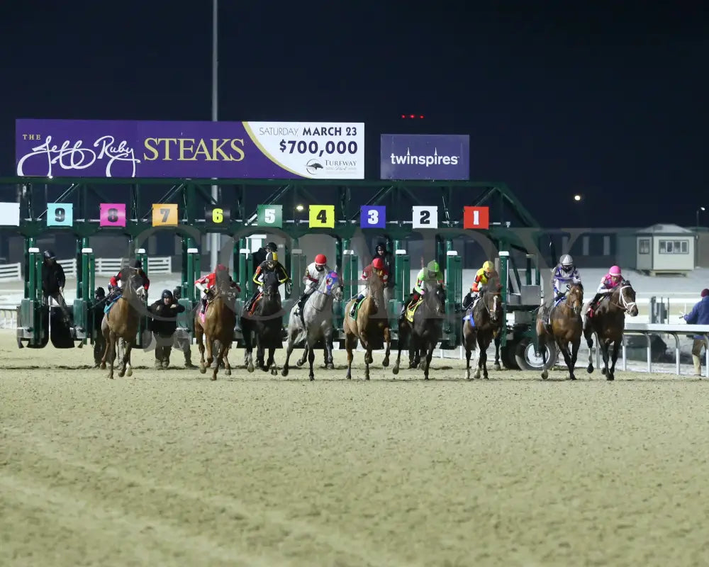 Surly Furious - The Dust Commander 33Rd Running 02-17-24 R07 Tp Start 01 Turfway Park