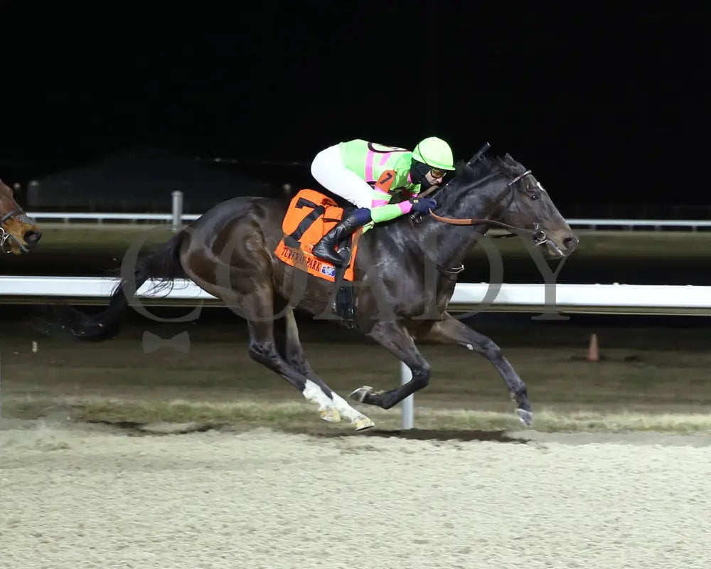 Surly Furious - The Forego 40Th Running 02-03-24 R07 Tp Finish 01 Turfway Park