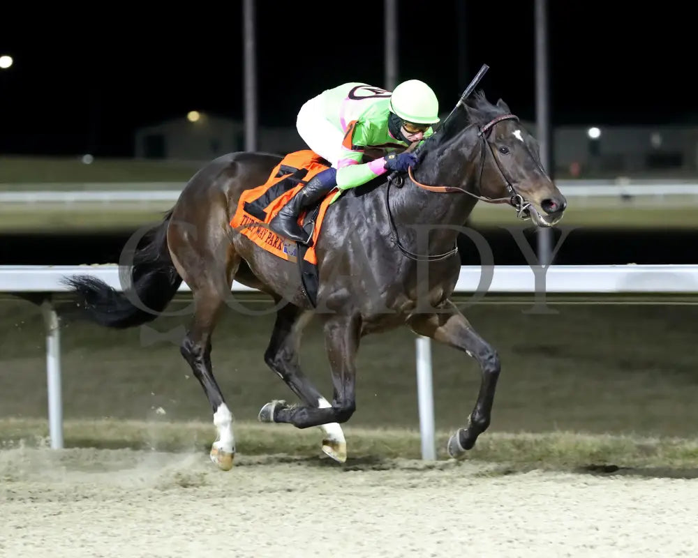 Surly Furious - The Forego 40Th Running 02-03-24 R07 Tp Finish 02 Turfway Park