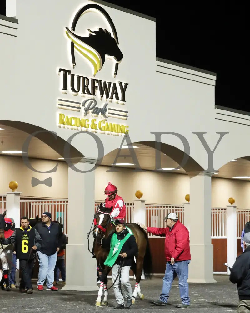 Surly Furious - The Forego 40Th Running 02-03-24 R07 Tp Paddock 01 Turfway Park