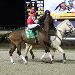 Surly Furious - The Forego 40Th Running 02-03-24 R07 Tp Post Parade 01 Turfway Park