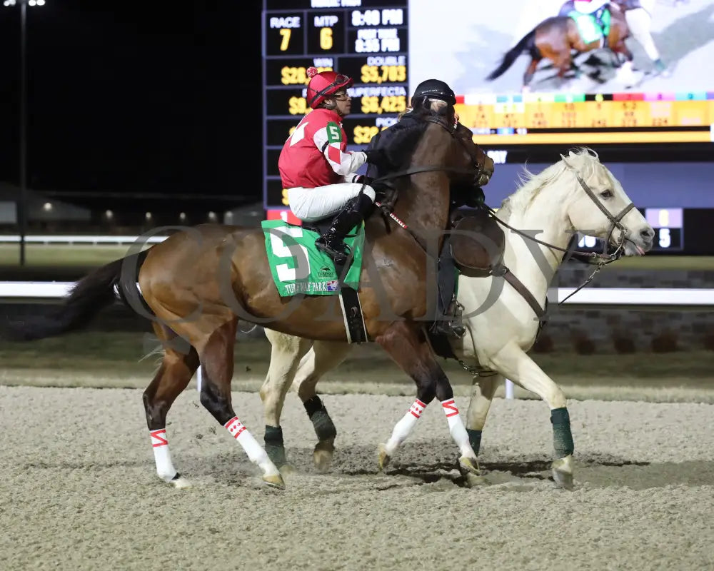 Surly Furious - The Forego 40Th Running 02-03-24 R07 Tp Post Parade 01 Turfway Park