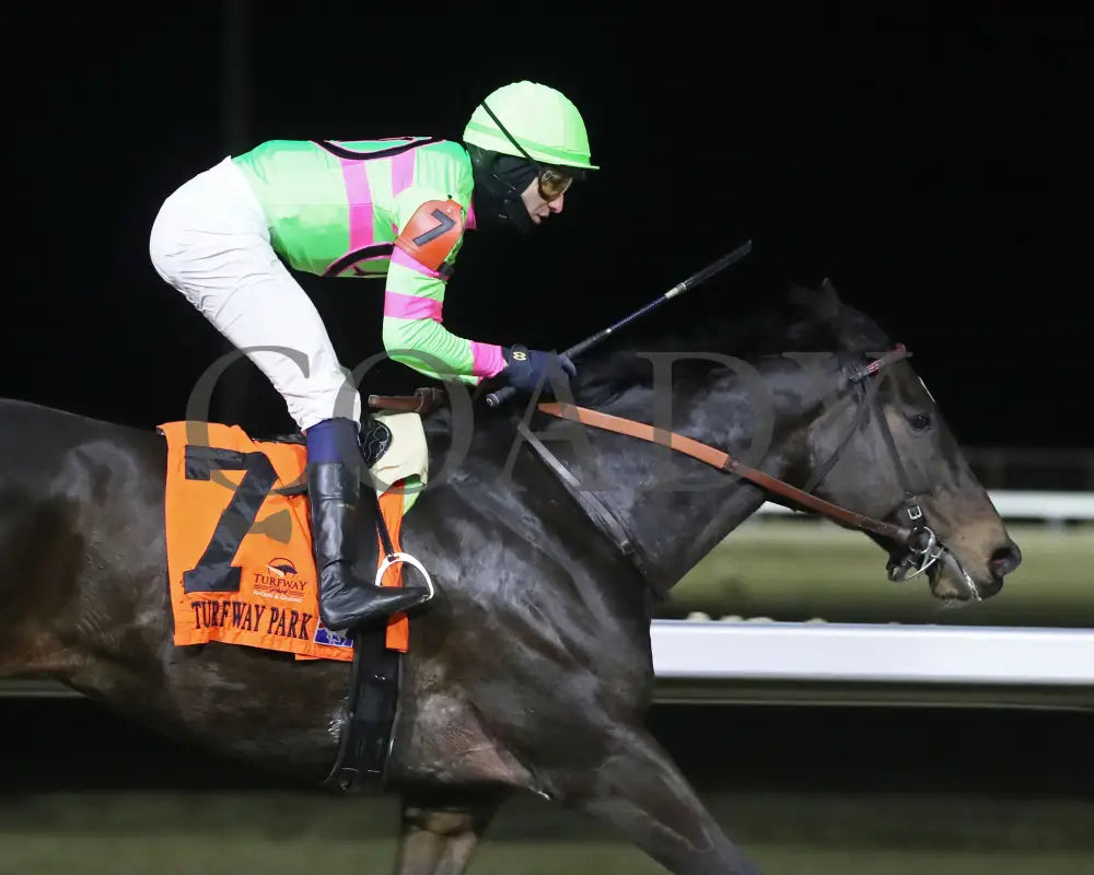 Surly Furious - The Forego 40Th Running 02-03-24 R07 Tp -Tight Finish 01 Turfway Park