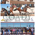 Surprsinglyperfect - 01-18-24 R02 Sun Sunland Park