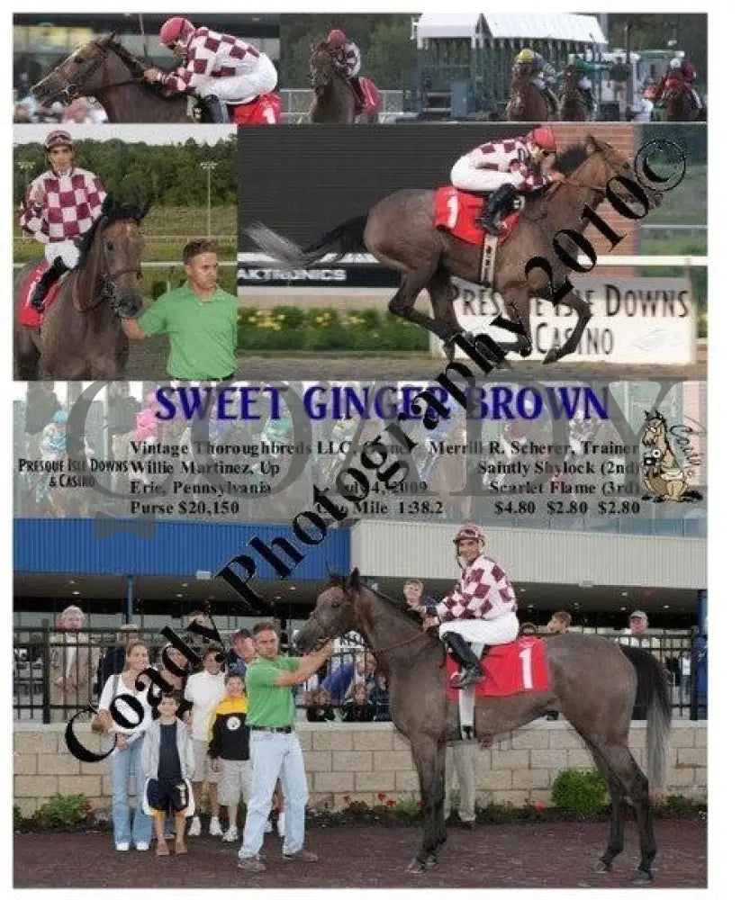 Sweet Ginger Brown - 7 4 2009 Presque Isle Downs