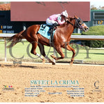 Sweet La Crema - 12-07-24 R03 Op Action Oaklawn Park