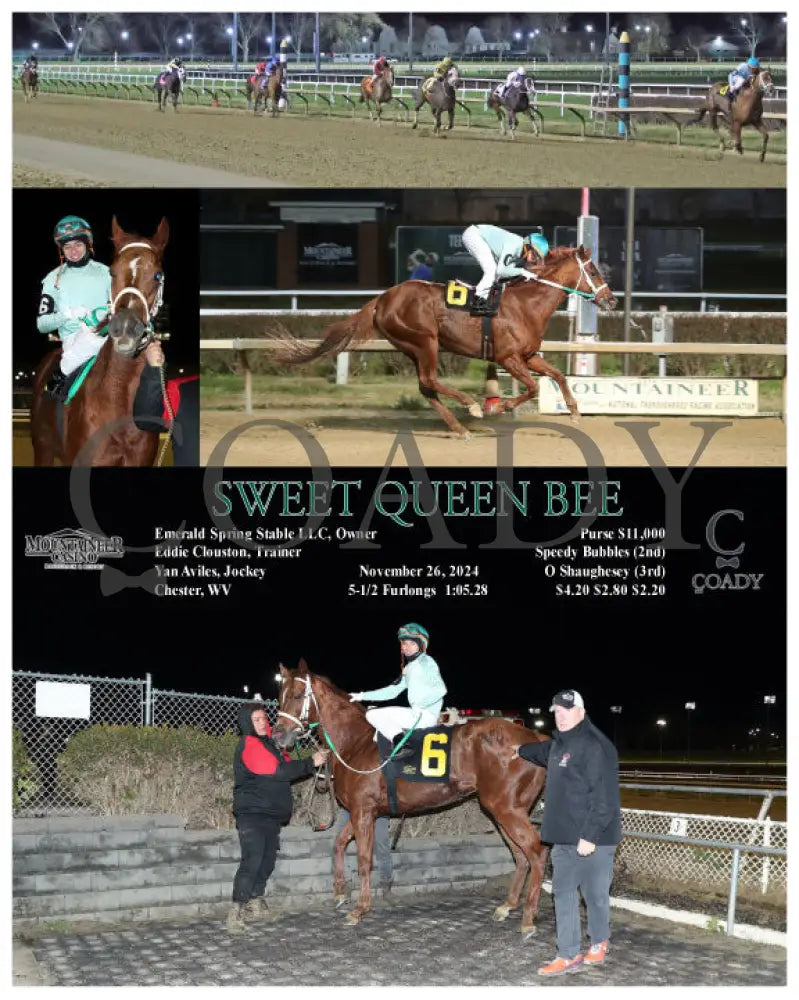 Sweet Queen Bee - 11-26-24 R01 Mnr Mountaineer Park