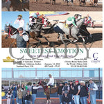 Sweetest Emotion - New Mexico Bred Shue Fly Trials 01-13-24 R06 Sun Sunland Park