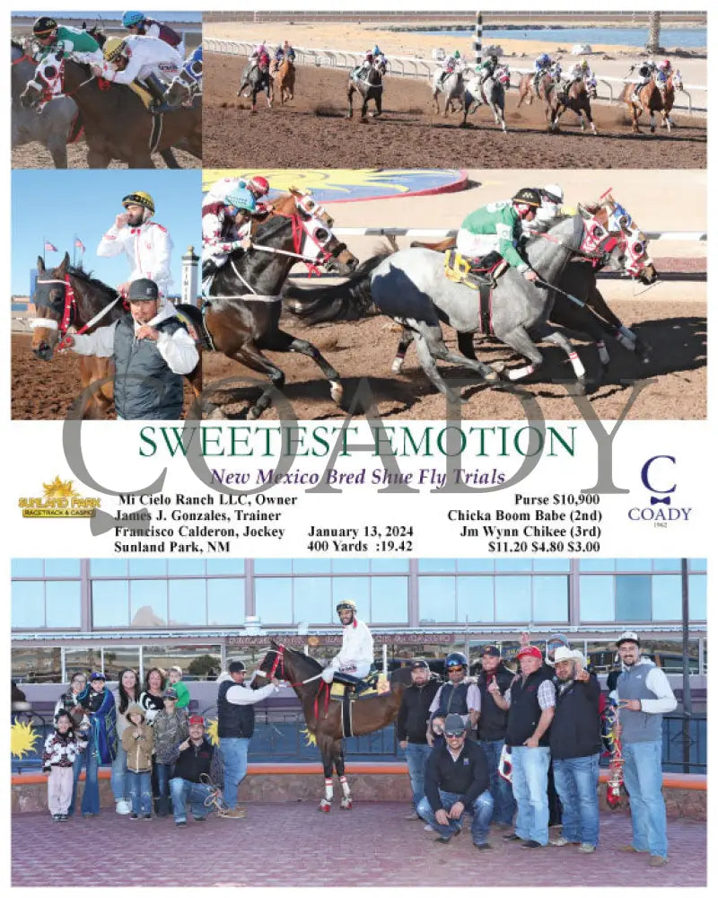 Sweetest Emotion - New Mexico Bred Shue Fly Trials 01-13-24 R06 Sun Sunland Park