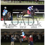 Systemic Change - 12-20-24 R06 Tp Turfway Park