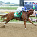 Tachas Secret - Bob Woodard Memorial Classic 08-31-24 R11 Horseshoe Indiana Finish 03 Ronald Hisby