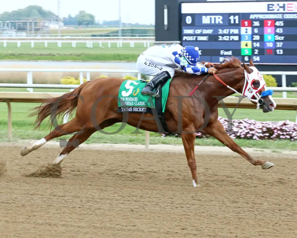 Tachas Secret - Bob Woodard Memorial Classic 08-31-24 R11 Horseshoe Indiana Finish 03 Ronald Hisby