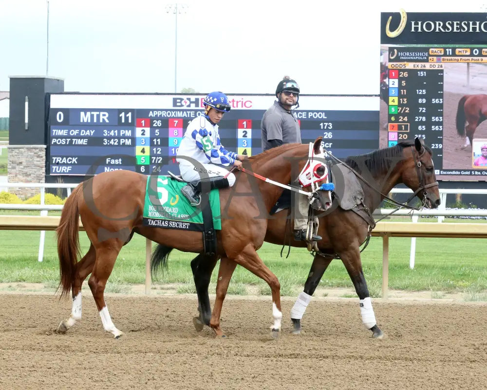 Tachas Secret - Bob Woodard Memorial Classic 08-31-24 R11 Horseshoe Indiana Post Parade 01