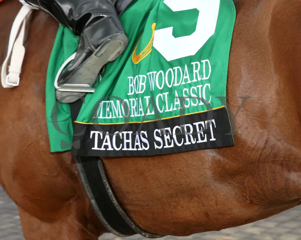 Tachas Secret - Bob Woodard Memorial Classic 08-31-24 R11 Horseshoe Indiana Saddle Towel 01