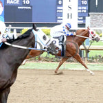 Tachas Secret - Born Runner Classic 11Th Running 06-01-24 R10 Horseshoe Indiana Finish 01 Grand