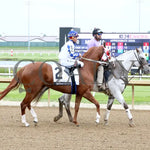 Tachas Secret - Born Runner Classic 11Th Running 06-01-24 R10 Horseshoe Indiana Post Parade 01 Grand