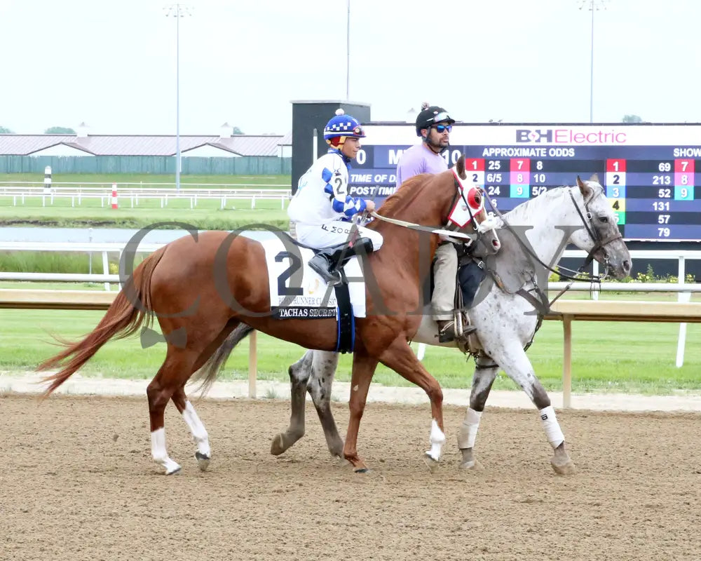 Tachas Secret - Born Runner Classic 11Th Running 06-01-24 R10 Horseshoe Indiana Post Parade 01 Grand