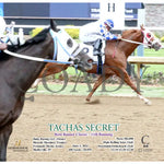 Tachas Secret - Born Runner Classic 11Th Running 06-01-24 R10 Ind Action Indiana Grand