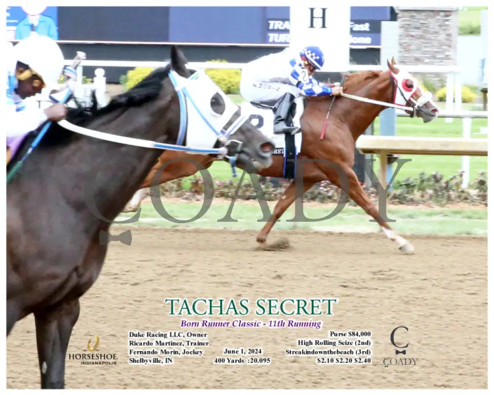 Tachas Secret - Born Runner Classic 11Th Running 06-01-24 R10 Ind Action Indiana Grand