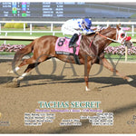 Tachas Secret - Horseshoe Indianapolis Classic 17Th Running 08-08-24 R10 Ind Action Indiana Grand