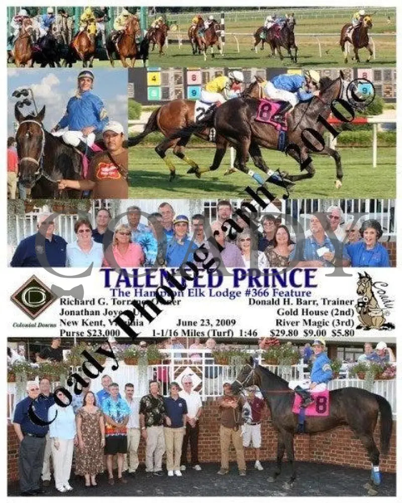 Talented Prince - The Hampton Elk Lodge #366 Fea Colonial Downs