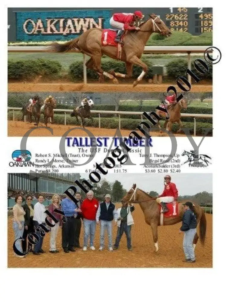 Tallest Timber - The Usf Dugan Classic 3 21 2003 Oaklawn Park