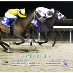 Tambarella - 02-24-24 R05 Tp Action Turfway Park