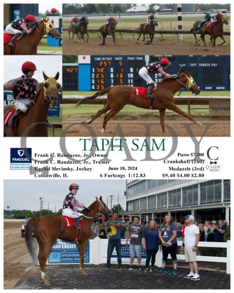 Tapit Sam - 06-18-24 R05 Fan Fanduel Sportsbook Horse Racing