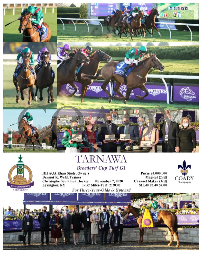 Tarnawa - Breeders’ Cup Turf G1 11-07-20 R11 Kee Keeneland